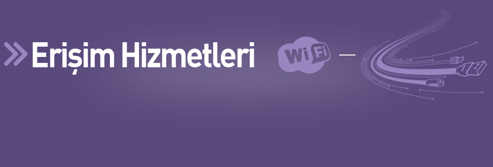 Erişim Hizmetleri